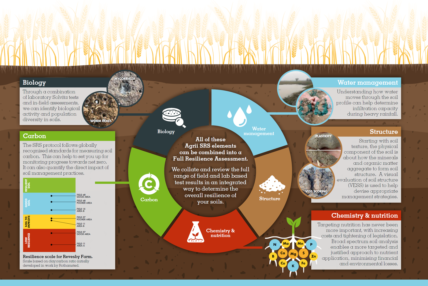 Components Of Soil Resilience Strategy