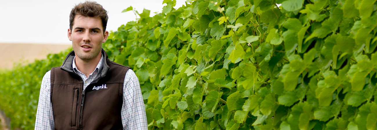 Agrii Vineyard Specialist 