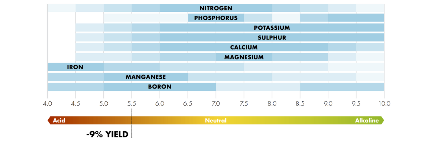 how pH affects nutrient availability