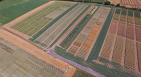 Agrii Throws Farm Trial Plots from above