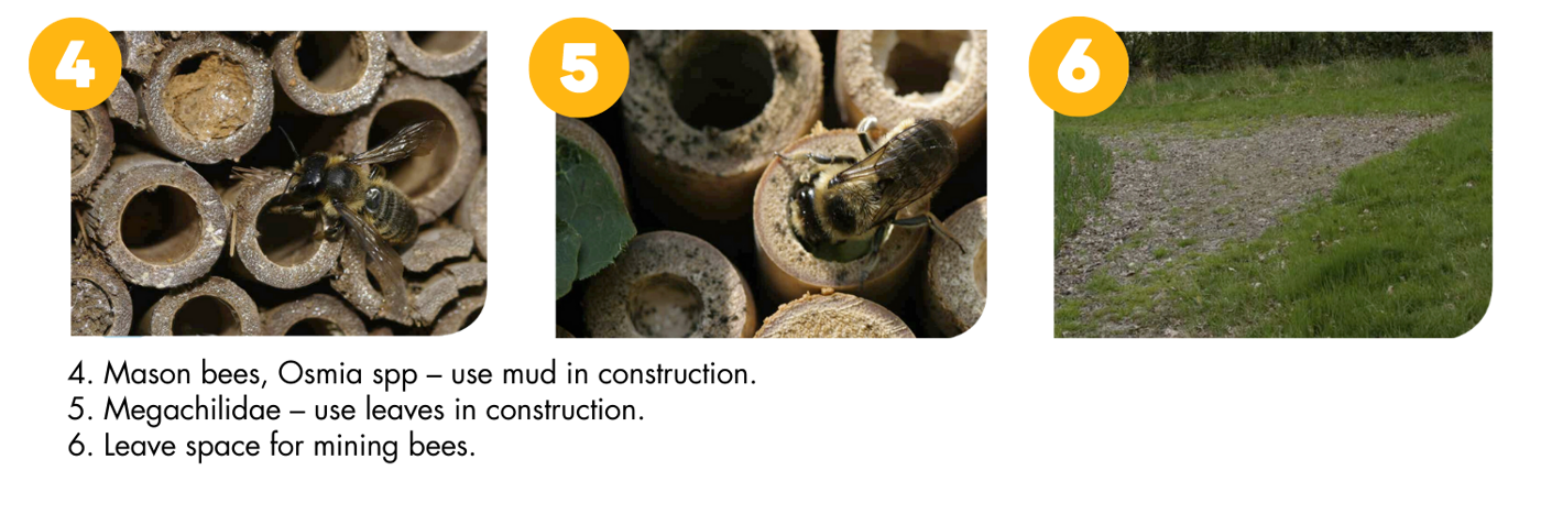 Bee Homes