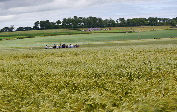 Agrii Ifarm Carnoustie