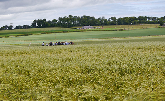 Agrii Ifarm Carnoustie