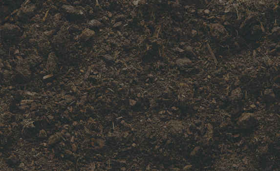 Agrii CTA Soil