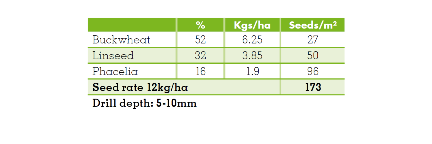 Fast And Late mixture details