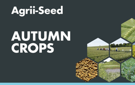 Autumn Crops Thumbnail