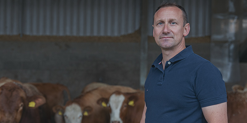 Farmer with cattle in barn