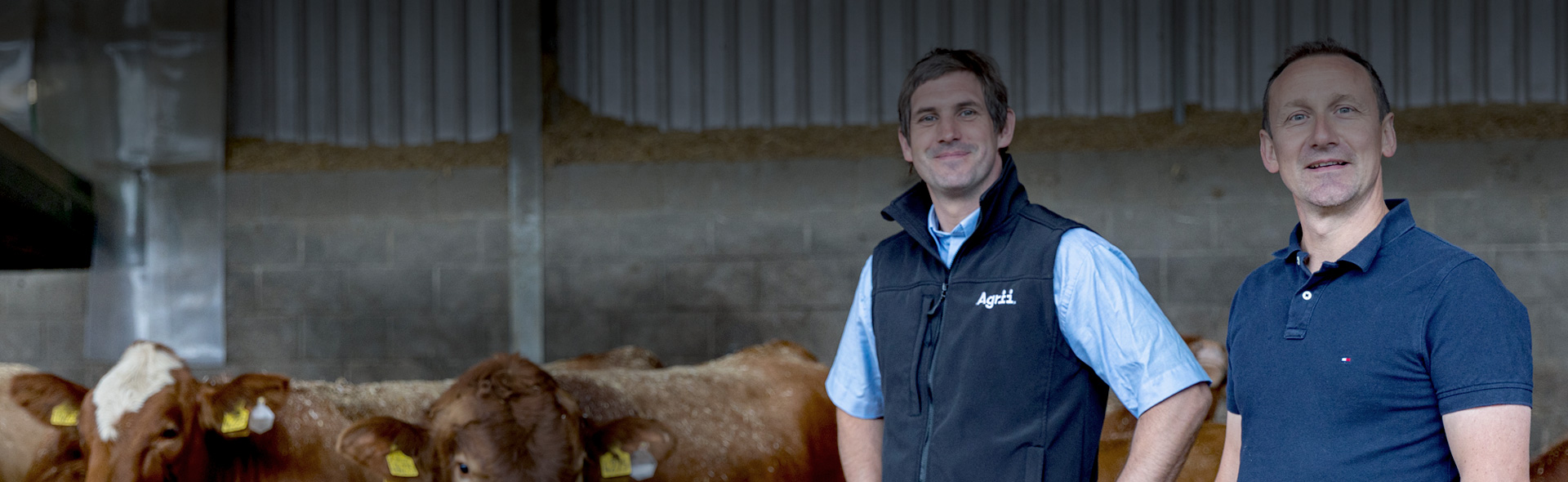 Agrii Header Livestock